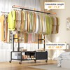 Raybee Clothes Racks for Hanging Clothes with Shelves 400LBS, Adjustable