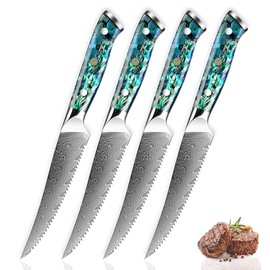 SENKEN 4-Piece Damascus Steak Knife Set, Real Abalone Shell Handle, "Umi" Collection Japanese Steak Knives, Japanese VG10 Steel 67-Layer Damascus
