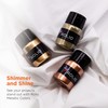 Rolio - Metallic Pigment Powder - 7 Jars/ 20ml Each