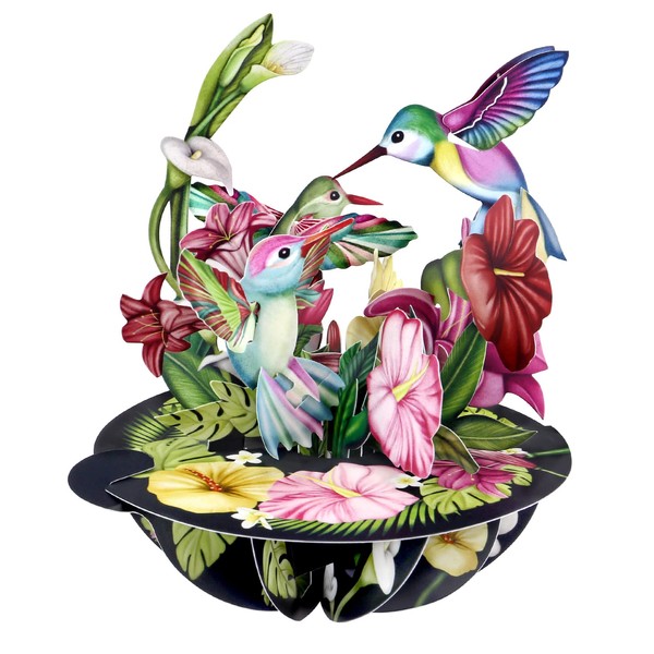 SANTORO Pirouette, 3D Pop Up Greeting Card - Hummingbirds - For Her, Him, Mum, Wife, Sister, Daughter, Birthday, Bird Lovers | Thank You Cards For Teacher | Get Well Soon Card