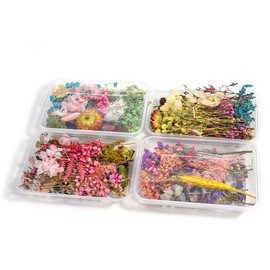 4 Boxes Real Natural Dried Flowers, DIY Natural Dried Flowers, for Epoxy Resin or Home Decoration, Scrapbooking Craft Cards Making, Random Colour