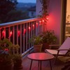 JinBest 35 LED Red Chili Pepper Christmas Lights, Commercial Grade