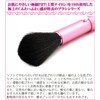 Shishida Seishindo Blush Brush Slide, Pink