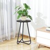 Plant Stand Indoor,Small Plant Table,Metal Display Rack,Black,20 In