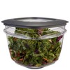Rubbermaid Premier Easy Find Lids 7-Cup Meal Prep and Food