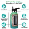 HYDRO CELL Stainless Steel Water Bottle with Straw & 2