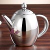 Rosenstein & Söhne Teapot with tea strainer: stainless steel teapot