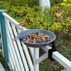 FKKsparkler Bird Bath for Deck Railing, Metal Deck Mounted Bird