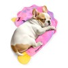 BurgeonNest Small Dog Calming Pillow for Dogs and Cats, Fluffy