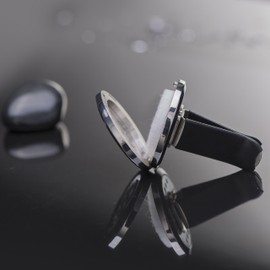 Gredstar Autodiffuser Auto Aromatherapie ?therisches ?l Diffusor Lufterfrischer Vent Clip Medaillon mit 12 Stck Ersatzfilz (30mm, Pferd)