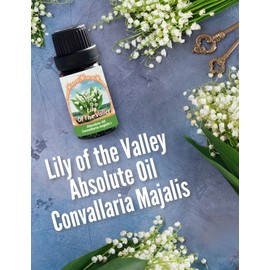 Lily of The Valley Absolute Oil (Convallaria majalis) 0.33 fl oz/ 10 ml