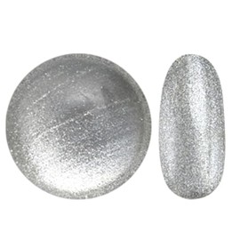 Magnet Nail Fine 20 Colors Total of 20 Colors Gel Nail Magnetic Nail Color Gel Cat Eye Magnet Silver Glitter Color Nail Gel Art Gel Gel Nail Supplies Nail Gel Nail Art Popular Self Gel Nail