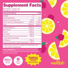Wellah Get-Going Pre-Workout Drink Mix (Raspberry Lemonade Flavored, 30 Servings)