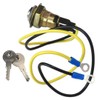 Ignition Key Starter Switch with 2 Keys Fits for Massey