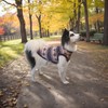 Kickred Dog Sweater Classic Snowflake Pet Knitwear Pullover Vest with