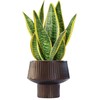 Wide Top Modern Handmade Metal Indoor Planter with Unique Shape,