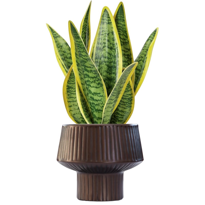 Wide Top Modern Handmade Metal Indoor Planter with Unique Shape,