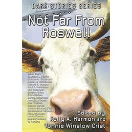 Not Far From Roswell (Dark Stories)