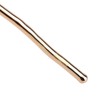 Rose Dipped in 24k Gold Forever Preserved Long Stem Rose