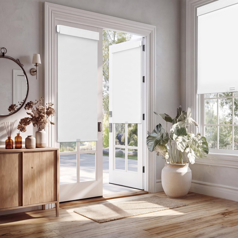 BERISSA Cordless Blackout Roller Shades for Indoor Windows with Light