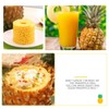 Pineapple Corer Stainless Steel Upgraded Reinforced Thicker Blade Premium Pineapple