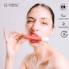 Labial Mate Líquido Indeleble Le Foose (Redish)