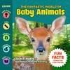 The Fantastic World of Baby Animals - A Children’s Book