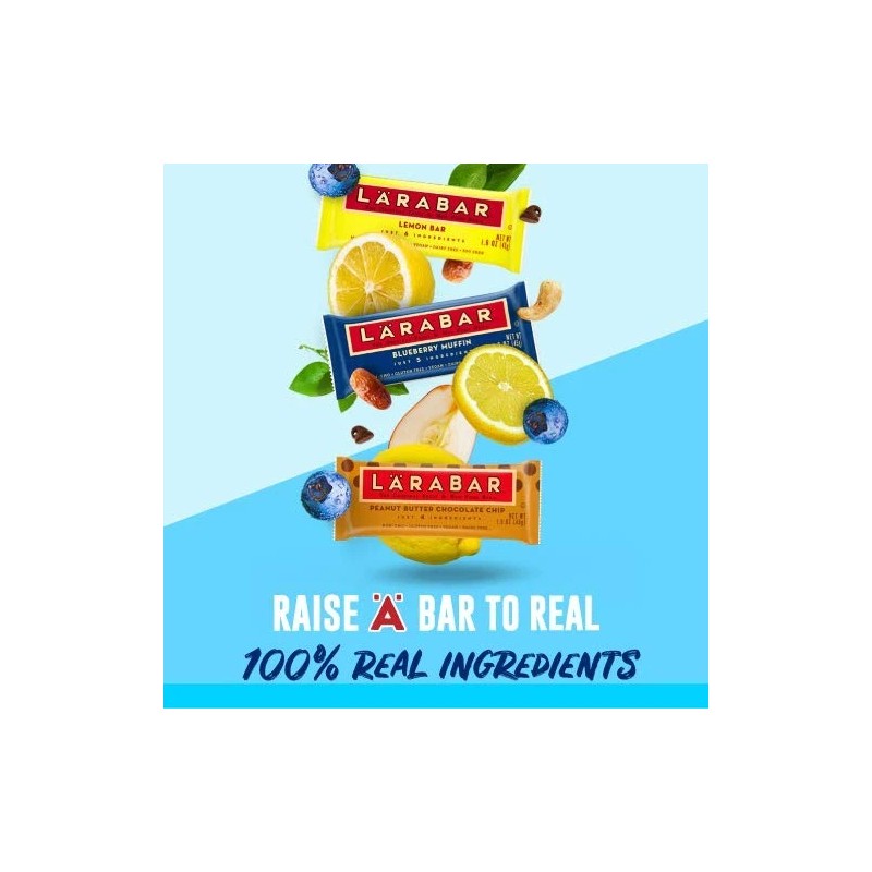 LÄRABAR LARABAR Pecan Pie Bar 1.6 oz (Pack of 16)