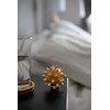 Croll & Denecke Small Wooden Massage Ball with Nodules