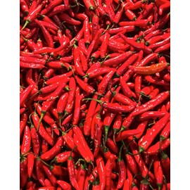 “Bird's Eye” Thai Hot Pepper Seeds – Traditional Thai Bird's Chili Pepper – Harvest Small, Red, Spicy Peppers in 75 Days | Compact Plants | Always OP | USA Grown Heirloom Seeds by Liliana's Garden |