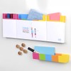 PLAYROOM GECKO Presentation Set - Magnetic All-in-One Set with Markers,