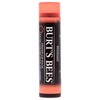 Burts Bees 100% Natural Origin Tinted Lip Balm, Zinnia with
