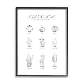 Stupell Industries Illustrated Guide to Succulents Minimal Modern Cactus Plant, Designed by Martina Pavlova Black Framed Wall Art, 24 x 30, Grey