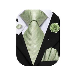 Hi-Tie Mens Light Green Plaid Tie Set Silk Woven Necktie with Lapel Pin Pocket Square Cufflinks Set for Wedding Party