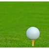 Adhere 60pcs Golf Tees Short Tees Birch Wood Tees Short