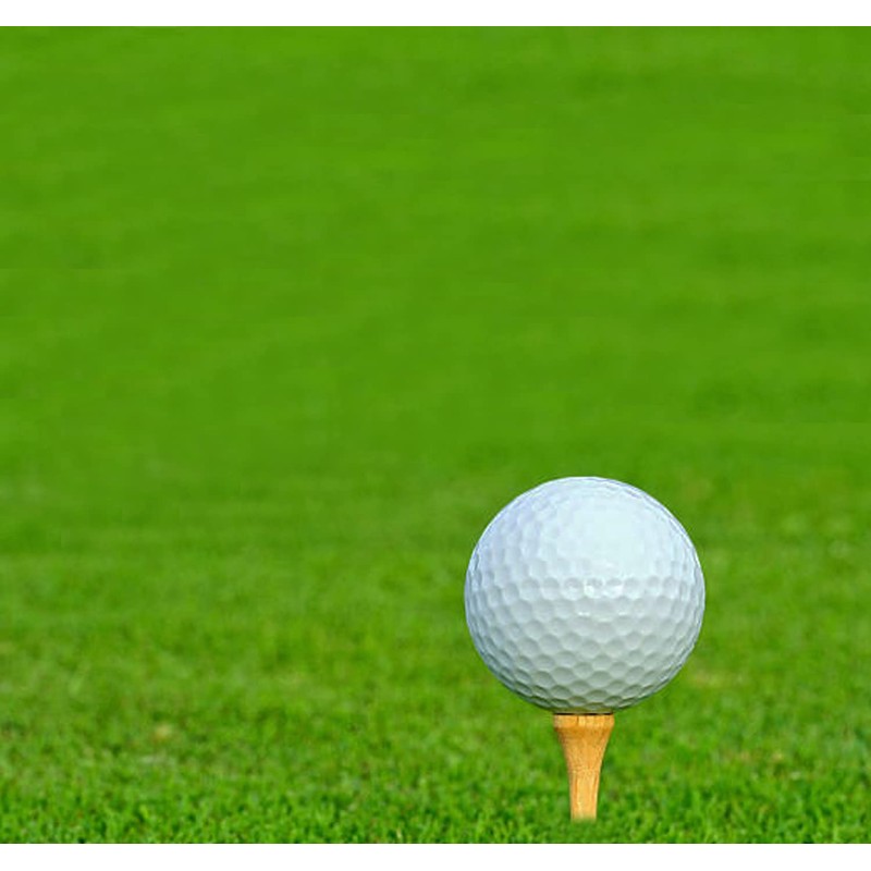 Adhere 60pcs Golf Tees Short Tees Birch Wood Tees Short