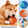 Yoaoland 2025 New Shaky Ball Toy for Dogs,Interactive Dog Toys,2025