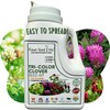 Flawn Seed Kits Tri-Color Clover Seed Plus Mow Less Fine