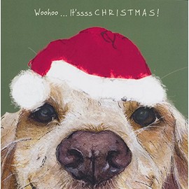Springer Cocker Sprocker Spaniel dog in Santa hat Christmas card - It'ssss CHRISTMAS!