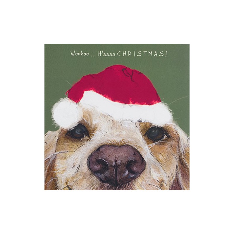 Springer Cocker Sprocker Spaniel dog in Santa hat Christmas card