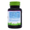 Isoflavonas Tabs 530mg Vidanat Sabor
