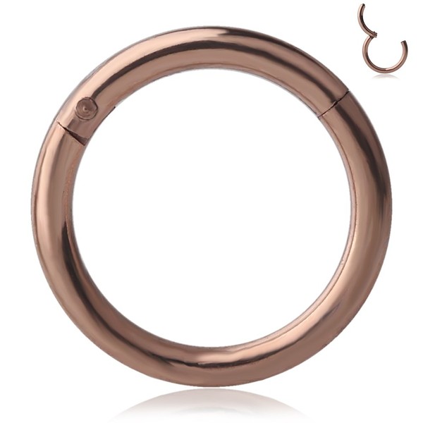 Ruifan 1PC Stainless Steel Hinged Seamless Segment Hoop Septum Clicker