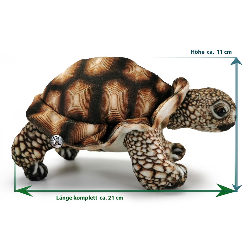 Schildkröte Landschildkröte braun Plüschtier Kuscheltier Plüschschildkröte Daphne
