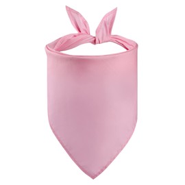 Petitebelle Plain Pink Dog Bandana - Large
