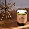 Cannabolish Smoke Odor Eliminating Candle, 7 oz, Natural Ingredients, Wintergreen