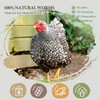 COOHGRUBS Dried Mealworms for Chickens, 100% Natural Premium Protein Chicken