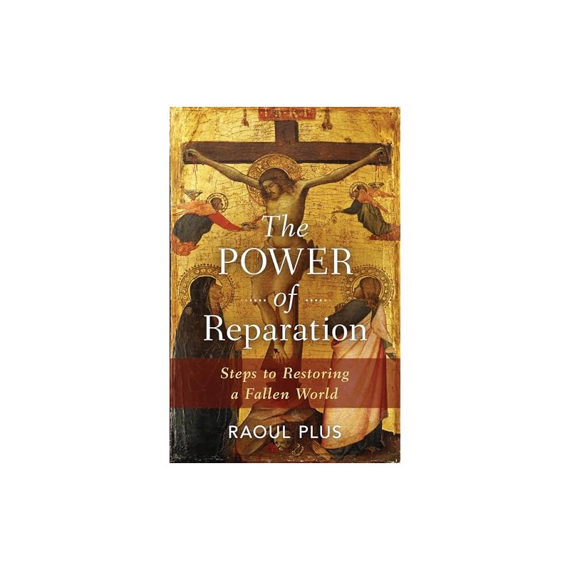 The Power of Reparation: Steps to Restoring a Fallen World