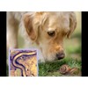 Dragon Lab & Canine Lungworm Test Kit Blood Screening for