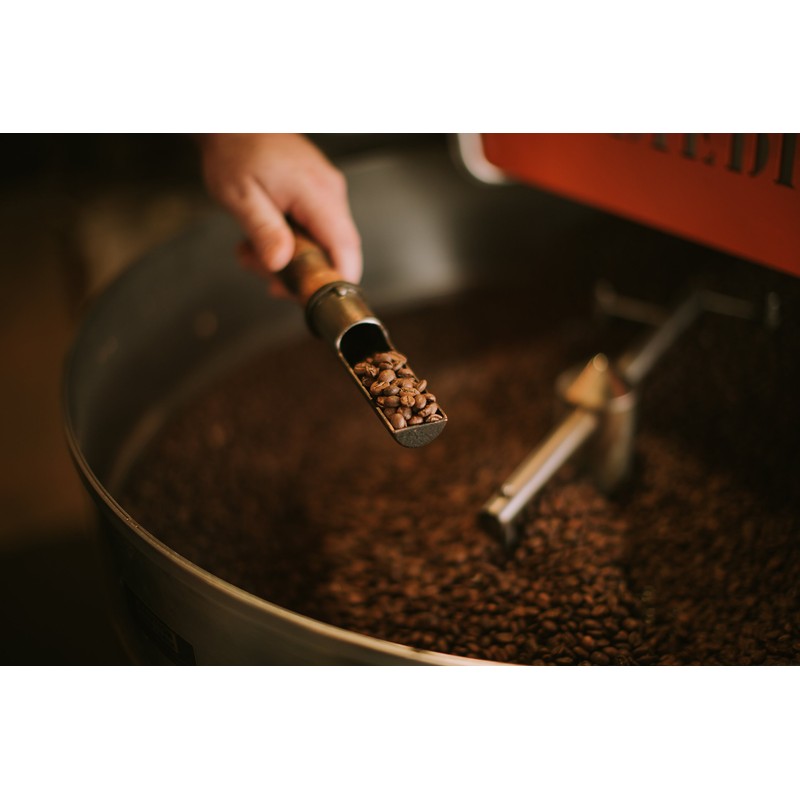 Bodhi Zen Blend - Fresh Roasted Coffee Beans, Specialty Arabica