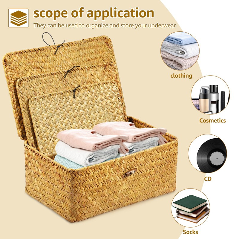 3 Pack Wicker Storage Basket with Lid Rectangle Hand Woven
